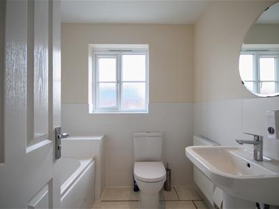 Picture 8